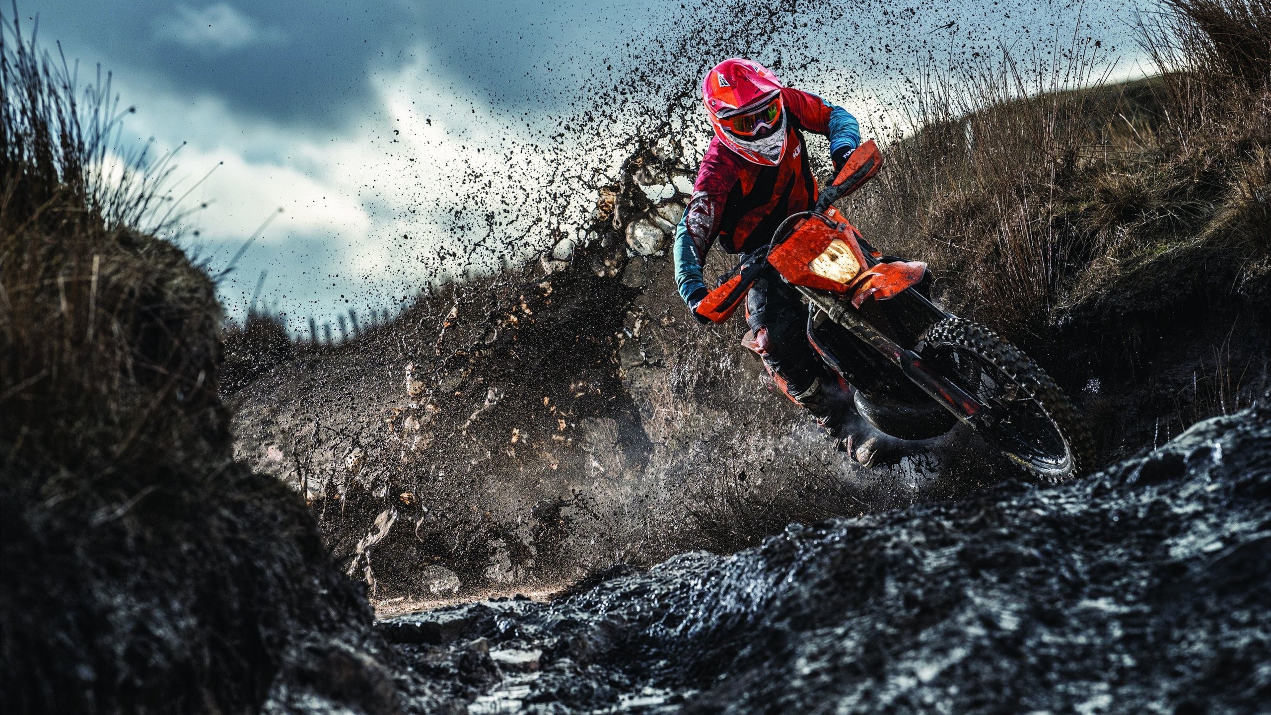 赛道风暴，皮亚斯特里点燃赛场，阿斯顿马丁碾压索伯车队